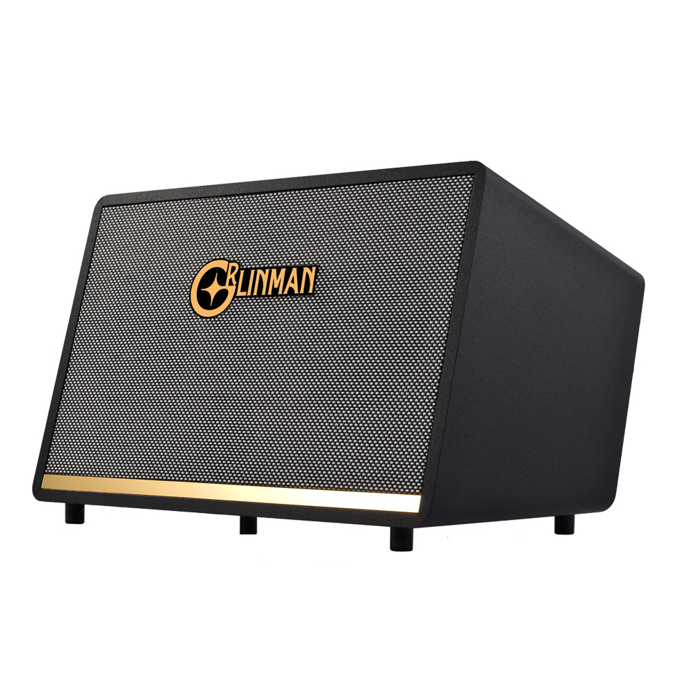 120W High-Power Outdoor Ukulele/Guitar Speaker - Professional Grade with Internal Recording & Live Streaming for KTV, Electric Wind Instrument