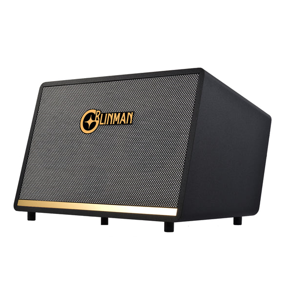 120W High-Power Outdoor Ukulele/Guitar Speaker - Professional Grade with Internal Recording & Live Streaming for KTV, Electric Wind Instrument