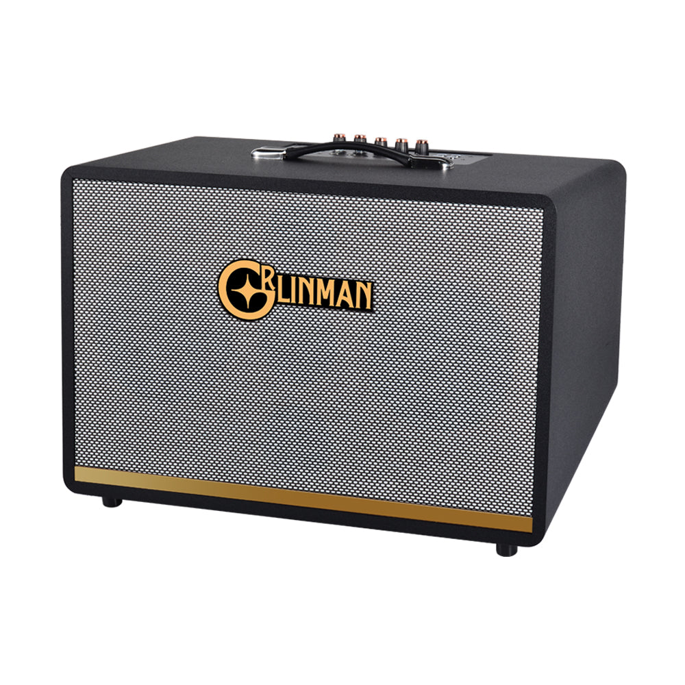 120W High-Power Outdoor Ukulele/Guitar Speaker - Professional Grade with Internal Recording & Live Streaming for KTV, Electric Wind Instrument