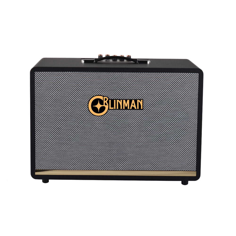 120W High-Power Outdoor Ukulele/Guitar Speaker - Professional Grade with Internal Recording & Live Streaming for KTV, Electric Wind Instrument