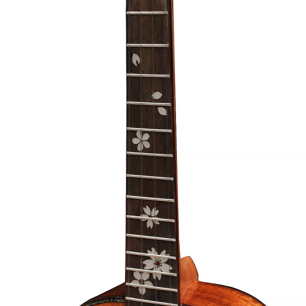 [New]MrMai MA80 Concert/Tenor Solid Mahogany Ukulele Gloss Finish with Bag