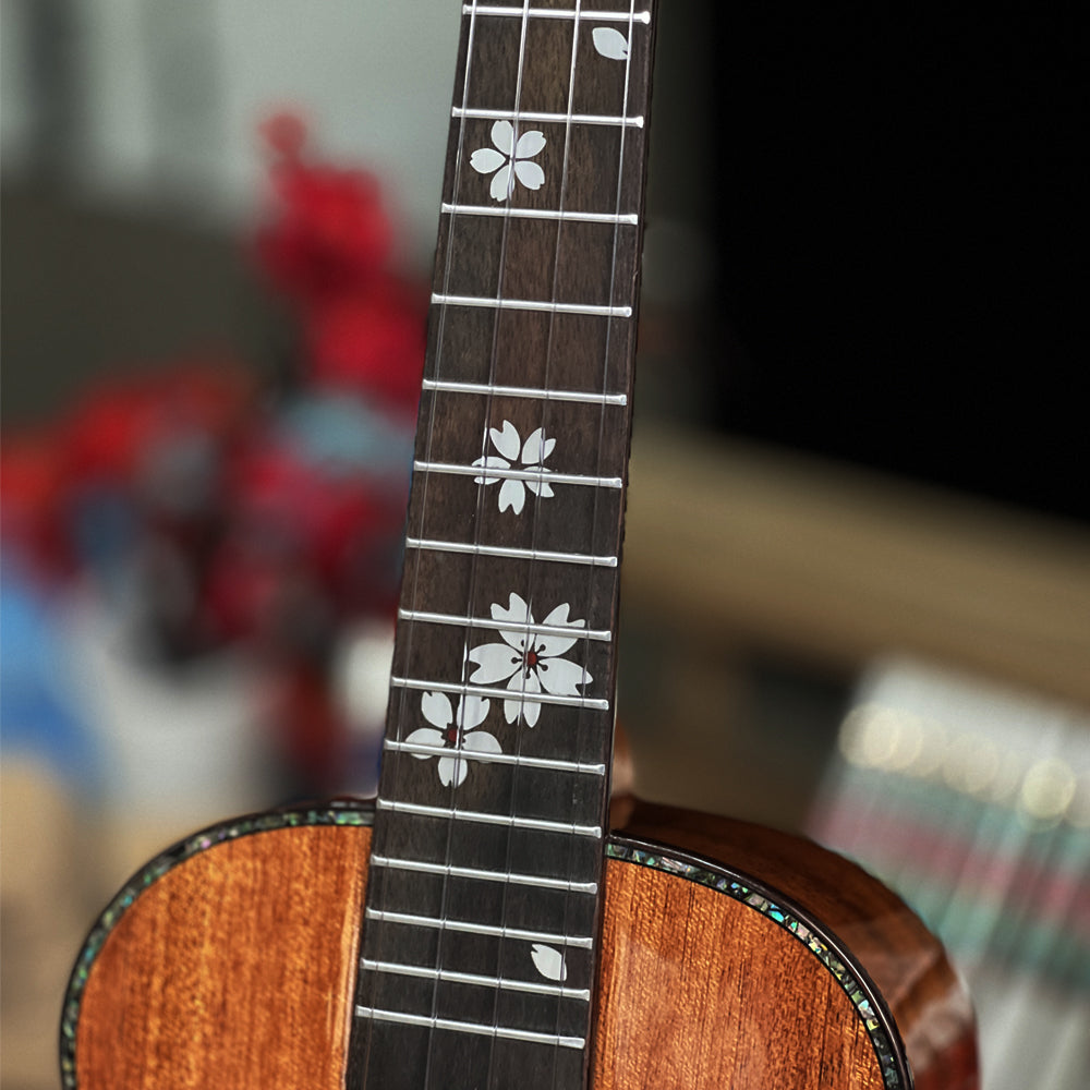 [New]MrMai MA80 Concert/Tenor All Solid Mahogany Ukulele Gloss Finish with Bag