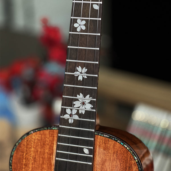 [New]MrMai MA80 Concert/Tenor Solid Mahogany Ukulele Gloss Finish with Bag