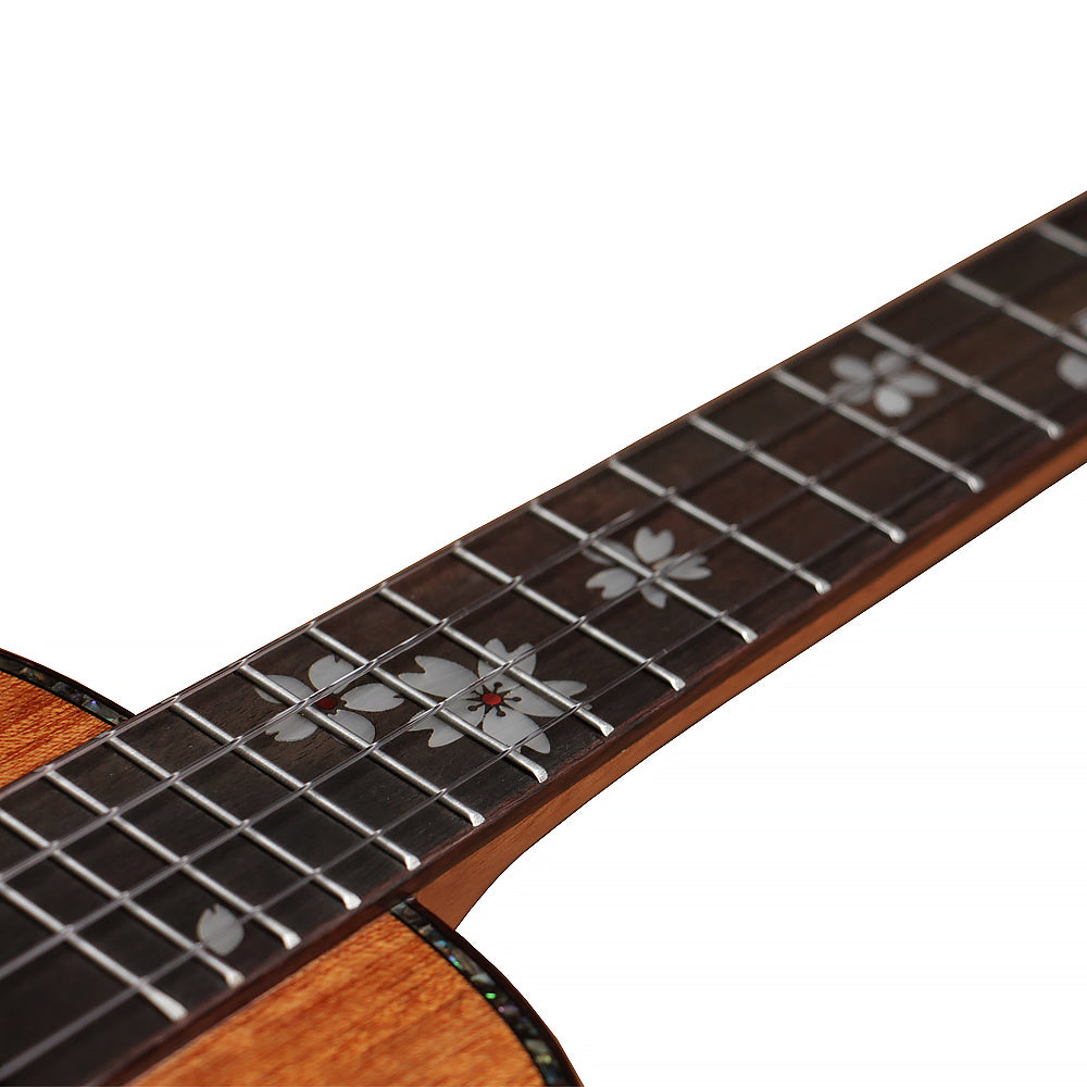 [New]MrMai MA80 Concert/Tenor All Solid Mahogany Ukulele Gloss Finish with Bag